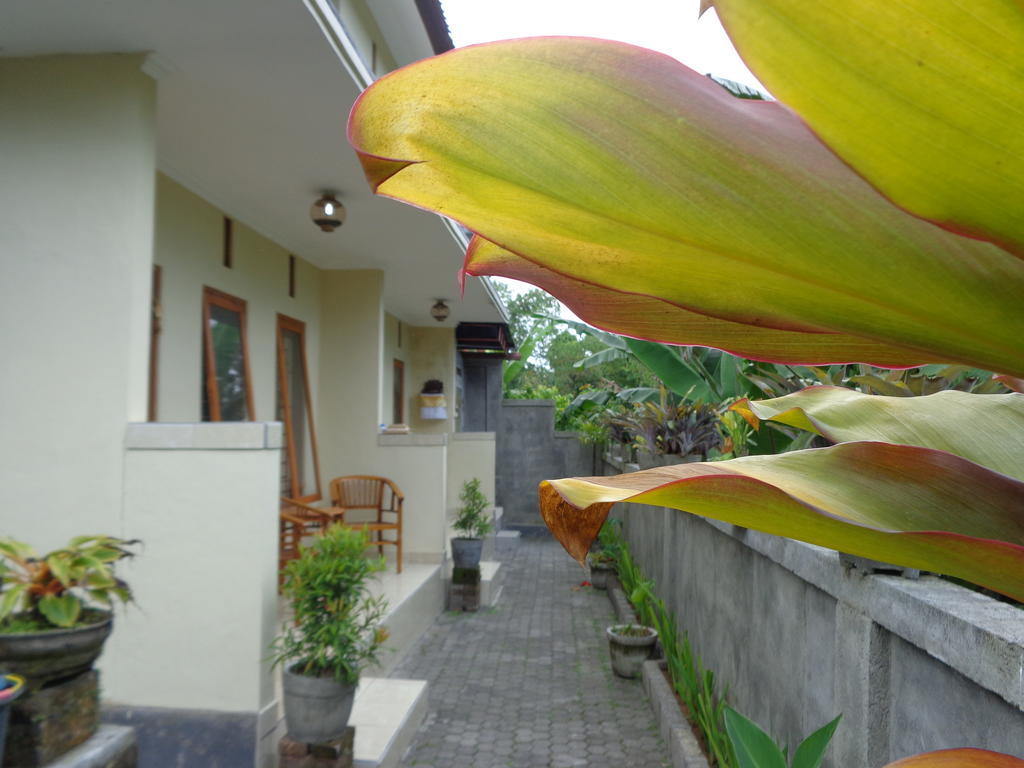 Sintya Homestay Убуд Екстер'єр фото